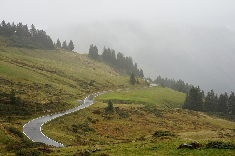 Mystical road through forest